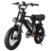 AVDL Electric Bike, 16